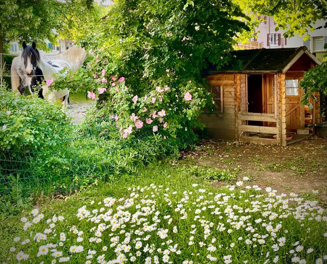 Rohrachhof Apartment Treuchtlingen Luaran gambar